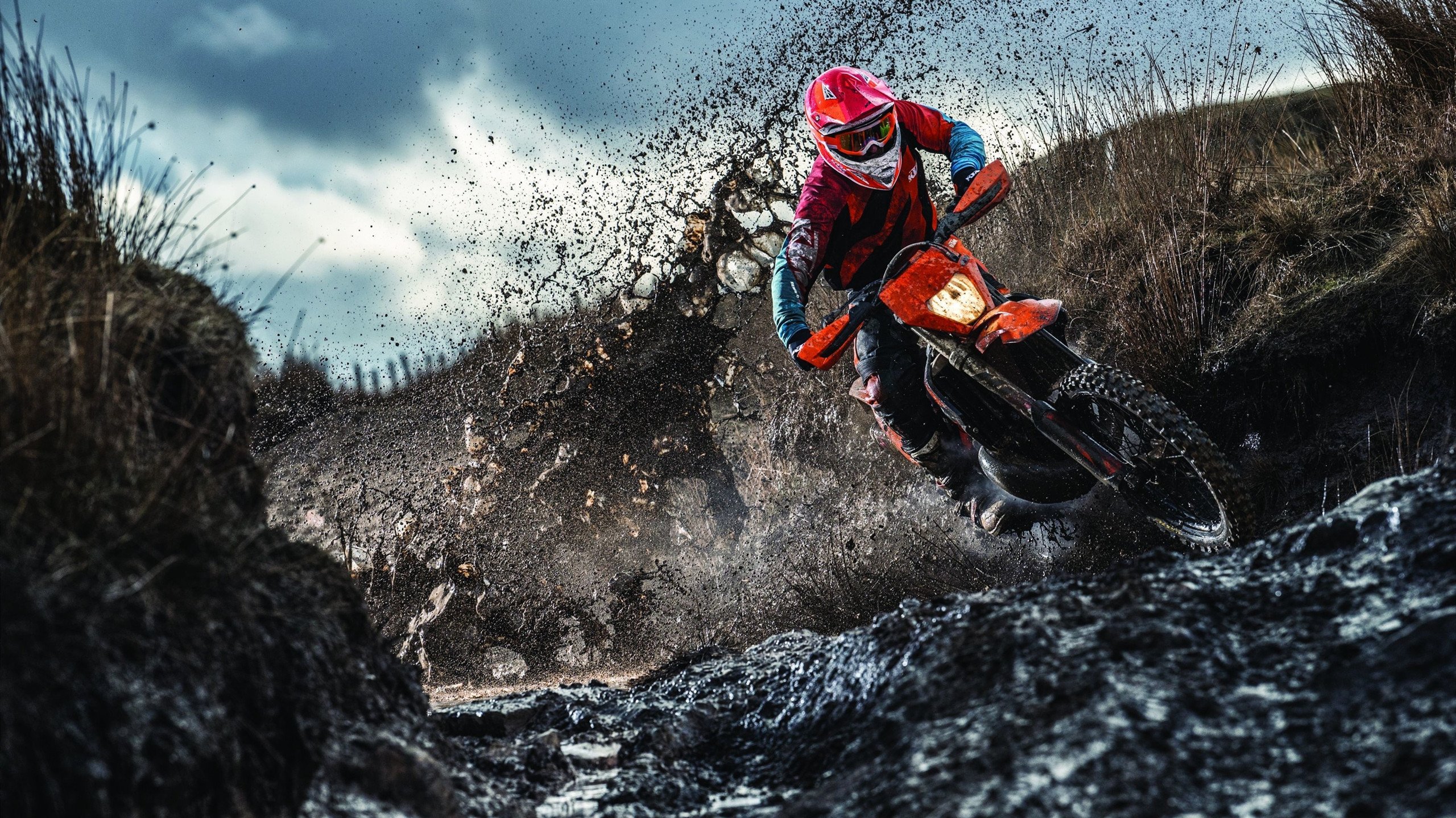 开云在线直播-当尼克斯蓝遇上浙江潮，霍勒迪里程碑之夜，跨越大洋的篮球对话