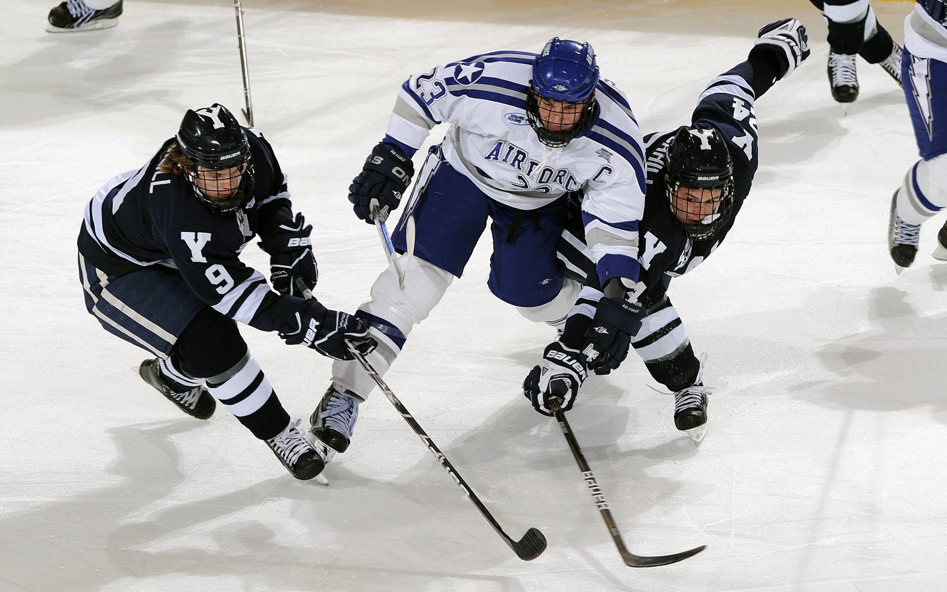 黄蜂之刺与绿军之盾，欧冠淘汰赛的宿命对决